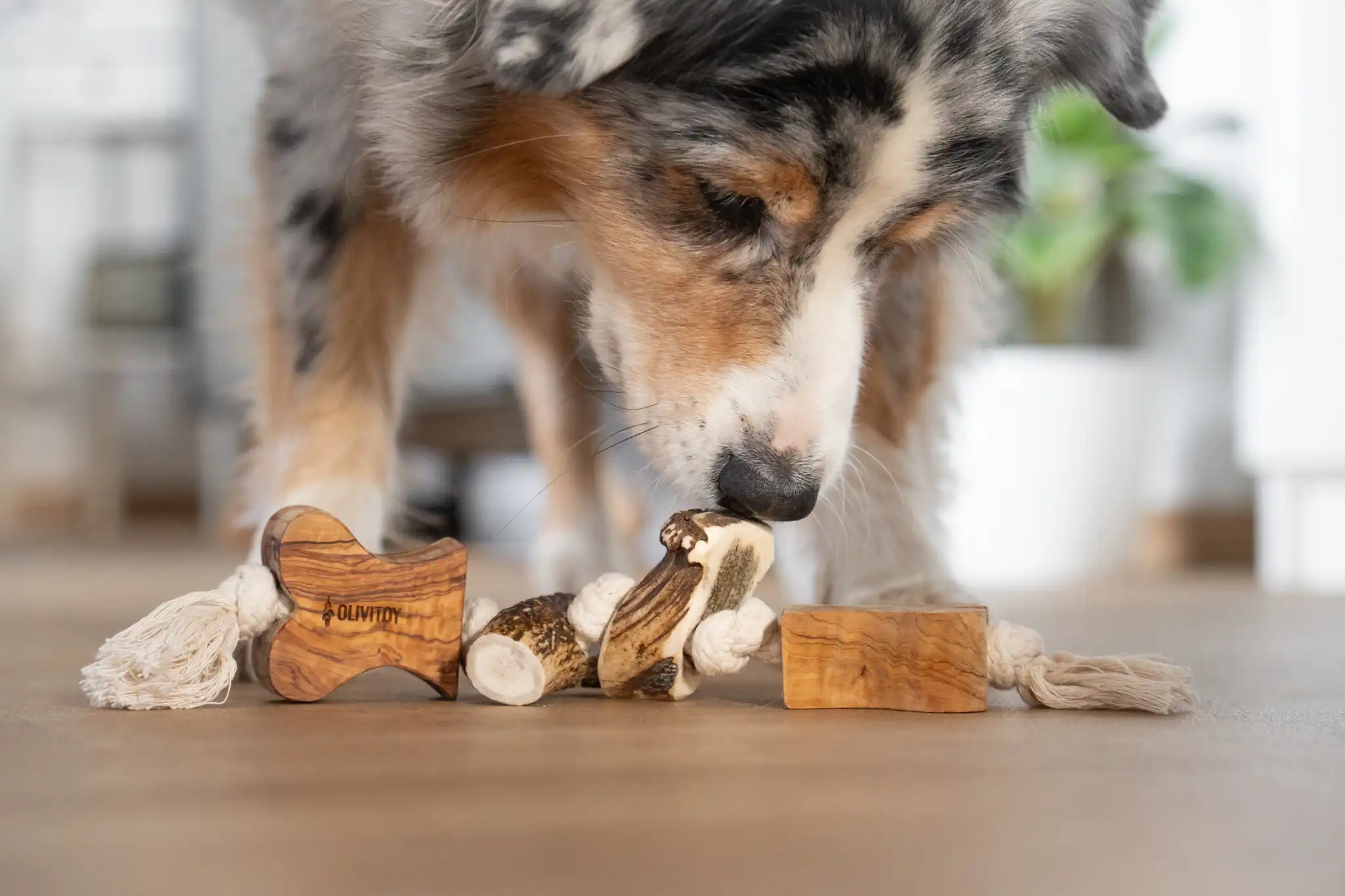Olivi Geweih-Tau-Spielzeug-Knochen
